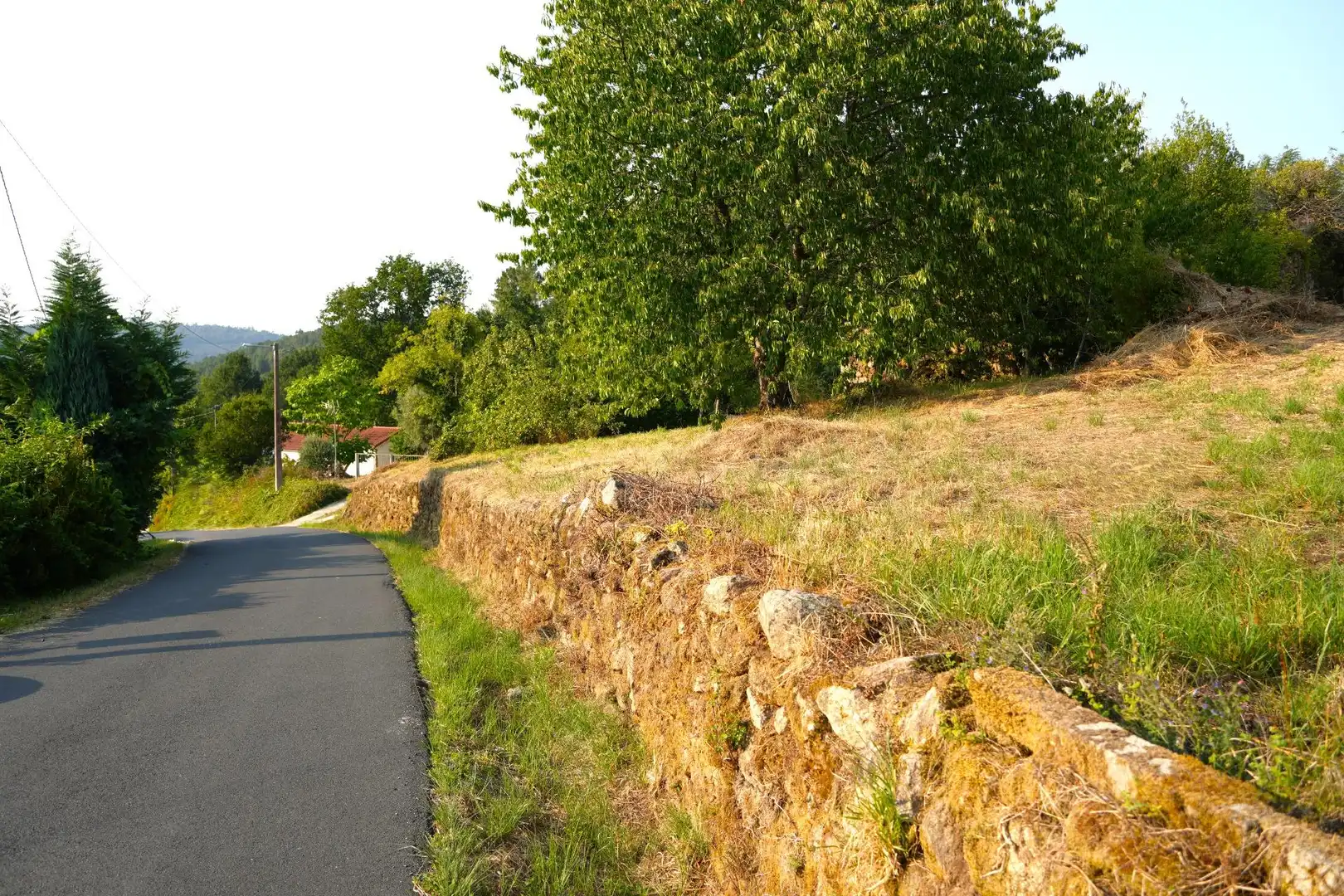 Lands and plots for sale in Lugar Estrada 521, imagen 7