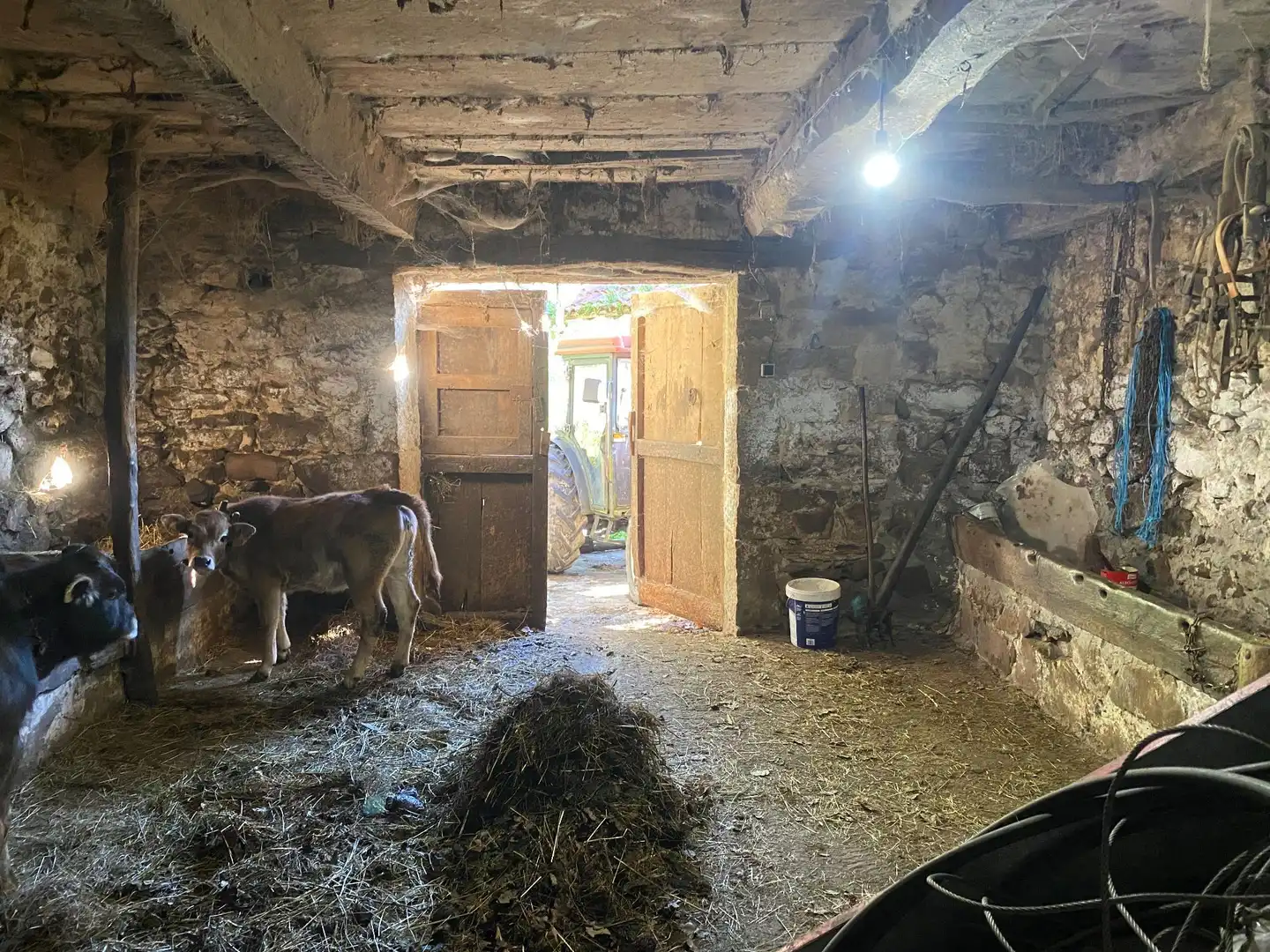 Casa o chalet en venta en Cangas de Onís