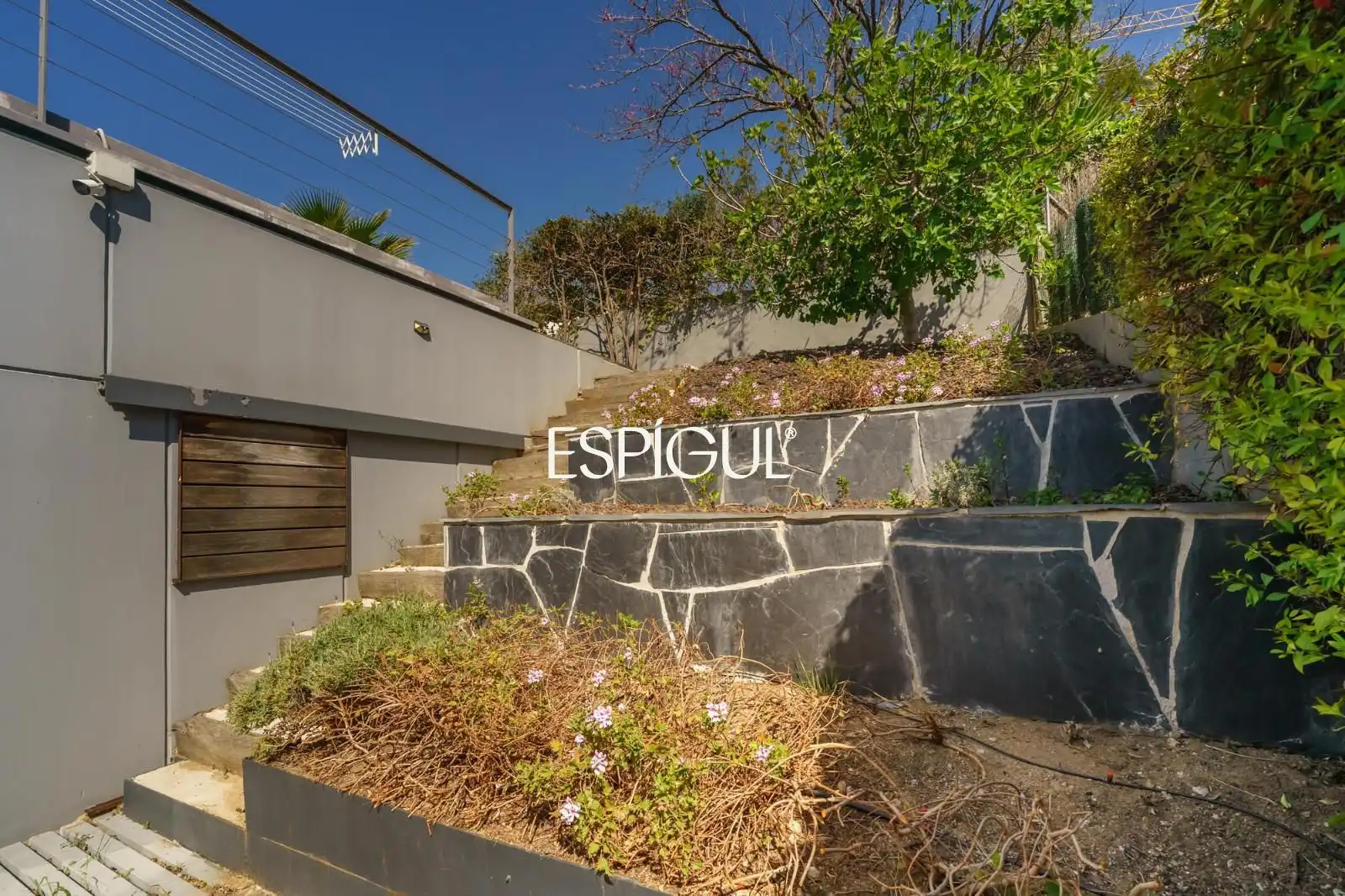 Maison avec terrasse à vendre à Bonaplata, imagen 51