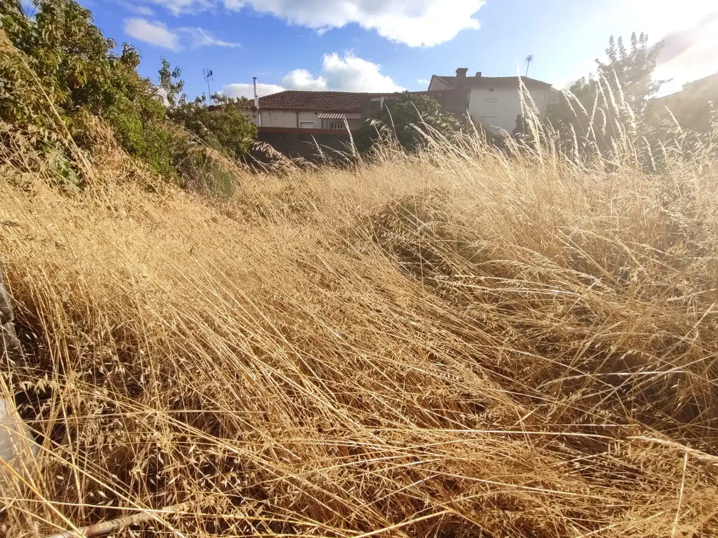 Finca rústica en venta en Cualedro con Calefacción, Terraza y Amueblado