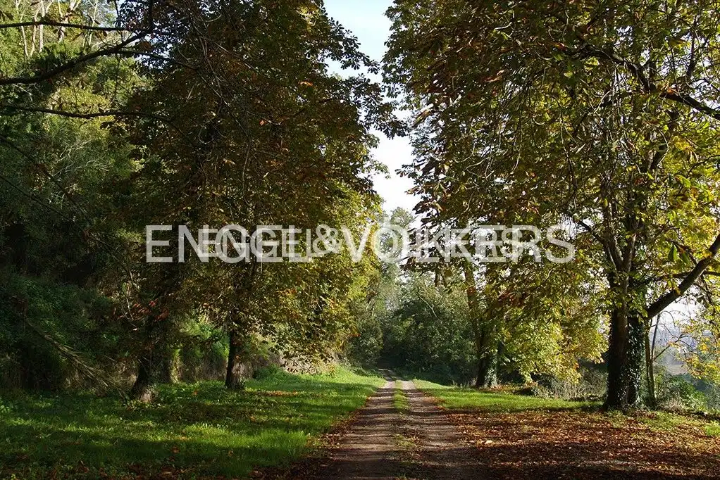 Exterior view of Houses for sale in Villaviciosa  with Heating, Private garden and Parquet flooring