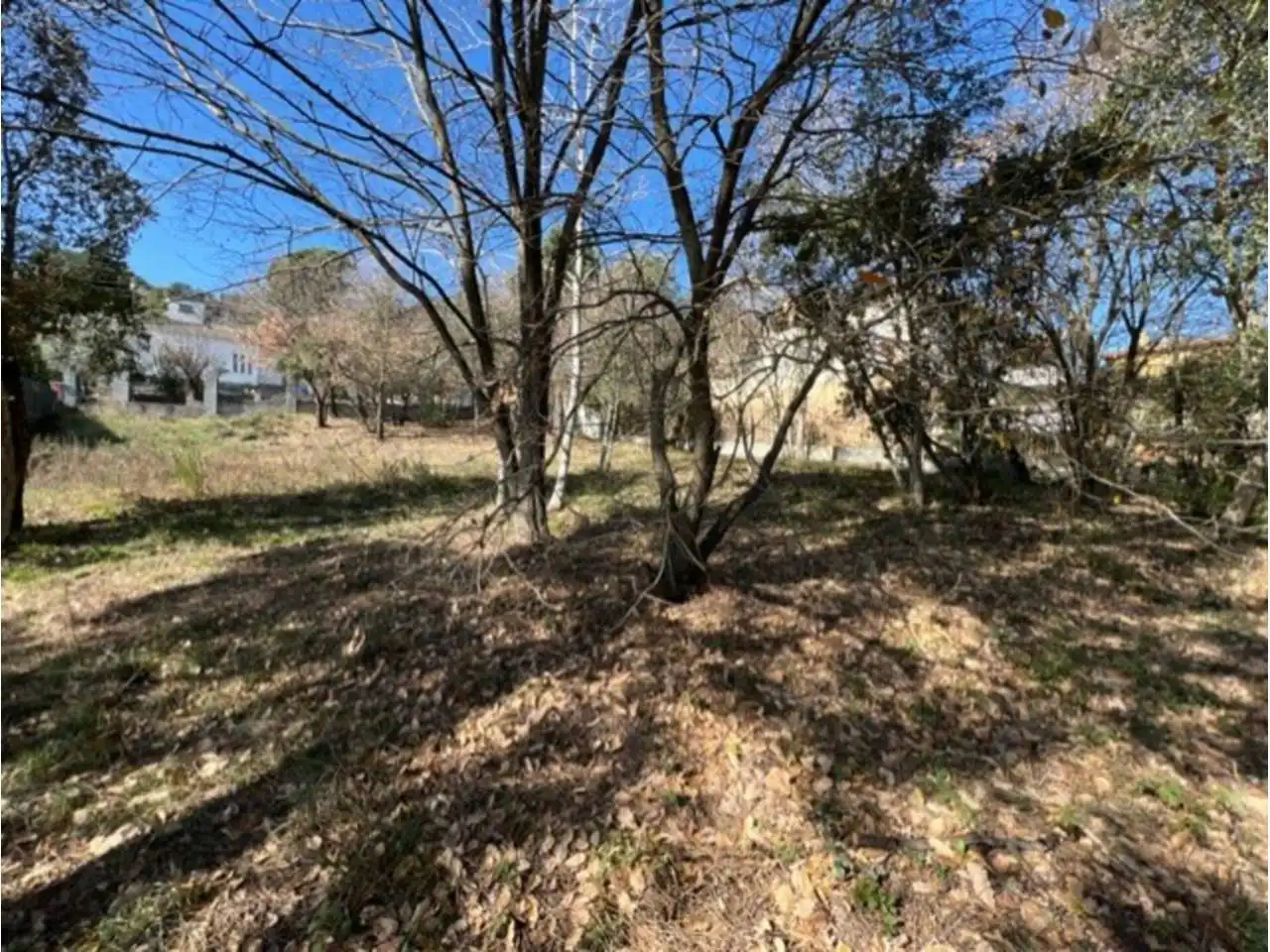 Land for sale in Riells i Viabrea