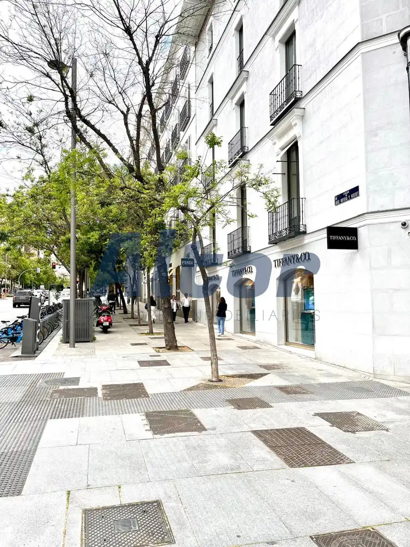 Pis amb ascensor de lloguer a serrano, imagen 14