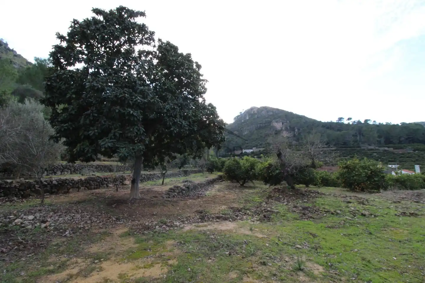 Terrenos y solares en venta en barranc del salt