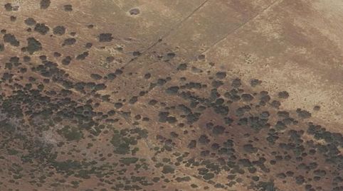 Foto 2 de Residencial en venda a Lugar Paraje Valdelazor Te, La Parra, Badajoz