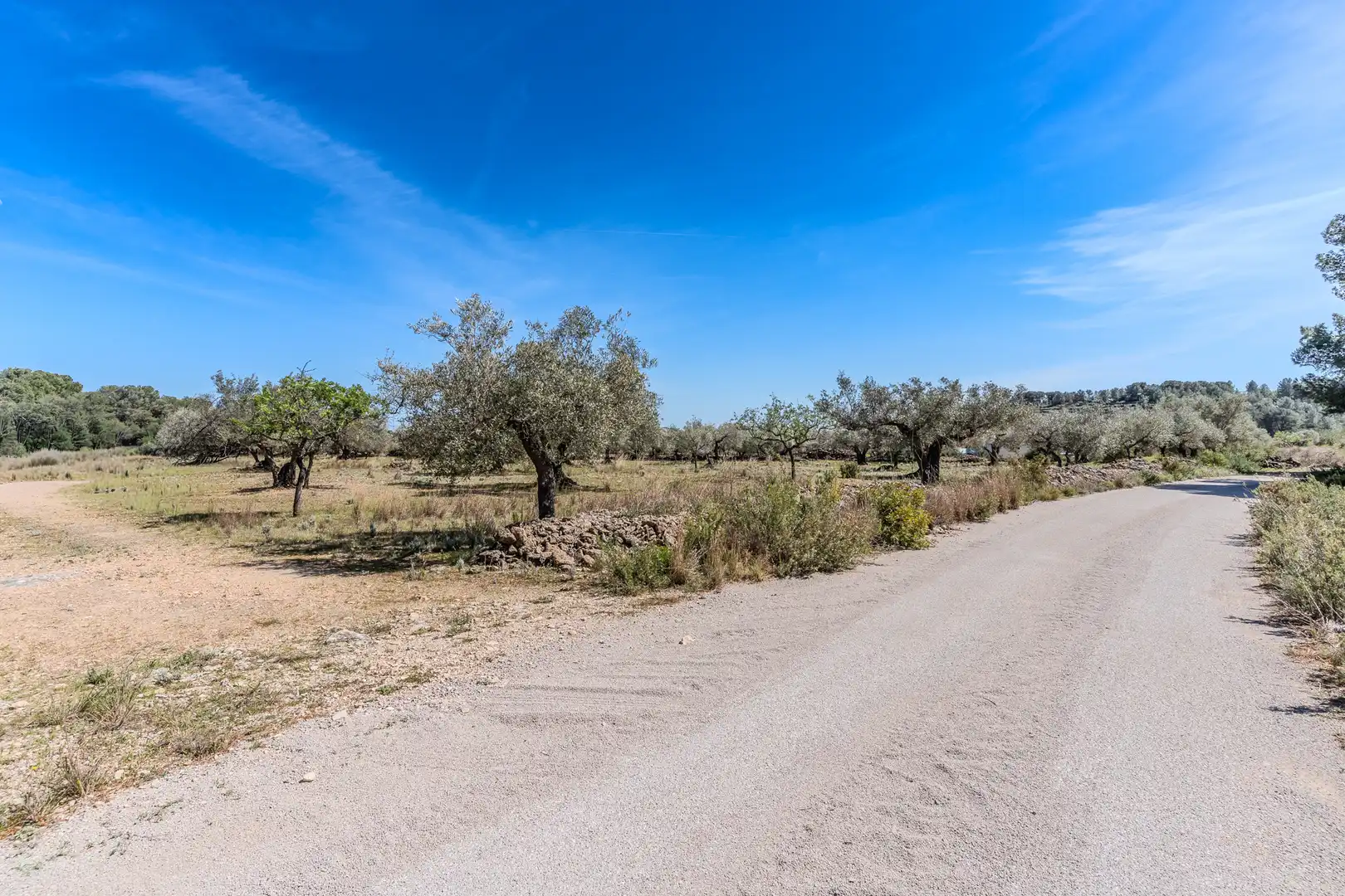 Land for sale in El Perelló