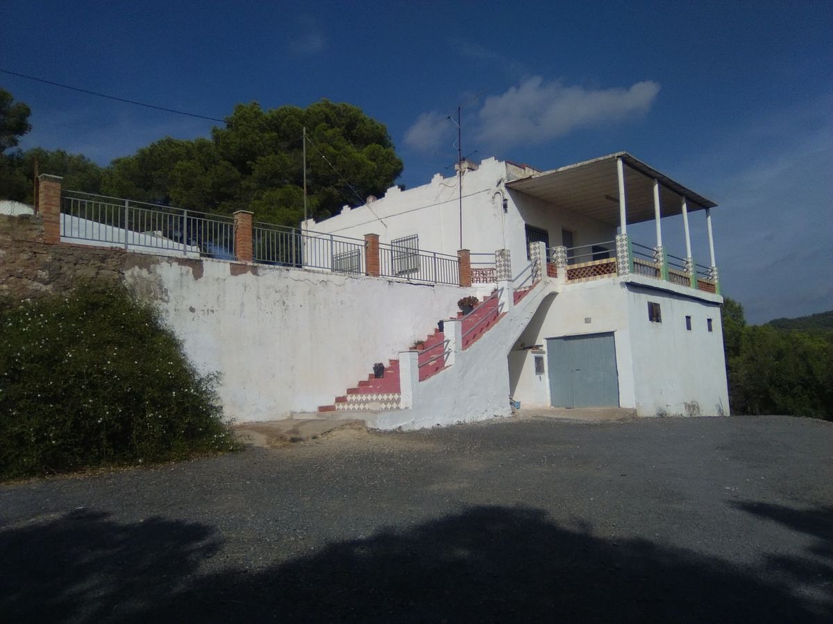 Vista exterior de Casa o chalet en venta en Sagunto / Sagunt con Jardín privado, Terraza y Piscina