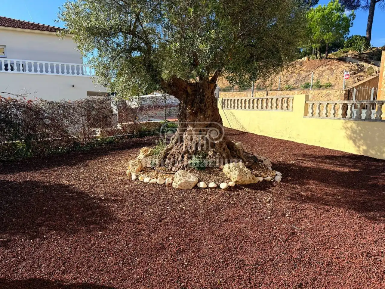 Jardí de Casa o xalet en venda en Lloret de Mar amb Calefacció, Jardí privat i Terrassa