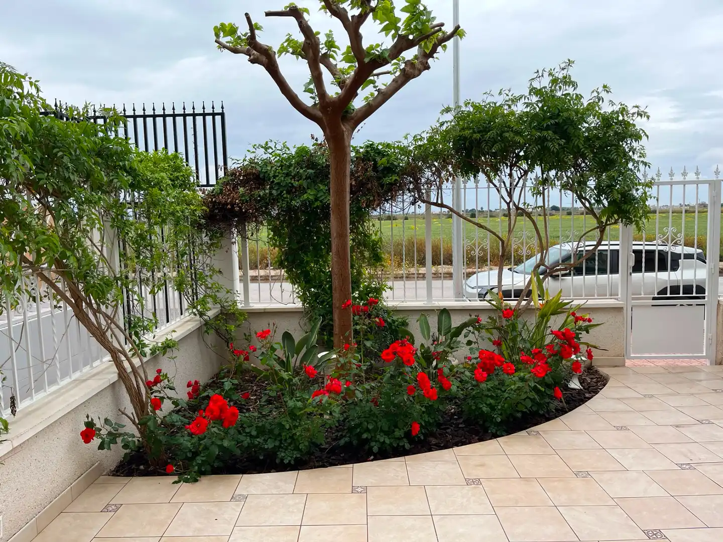 Terraza de Casa adosada en venta en Los Alcázares con Aire acondicionado, Jardín privado y Terraza