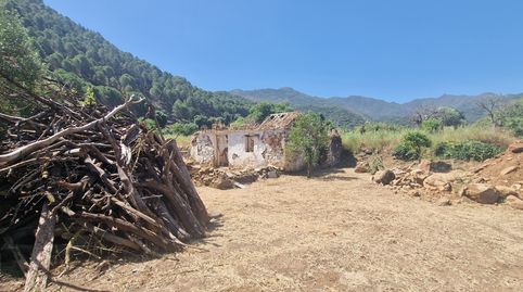 Foto 2 de Finca rústica en venda a Coín, Málaga