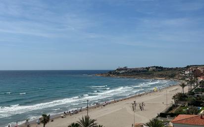 Vista exterior de Pis en venda en Alicante / Alacant amb Terrassa, Moblat i Piscina comunitària