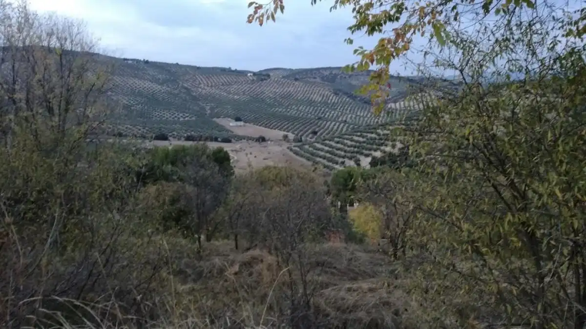 Grundstücke und Bauplätze zum Verkauf in Urbanizacion MONTESOL, imagen 7