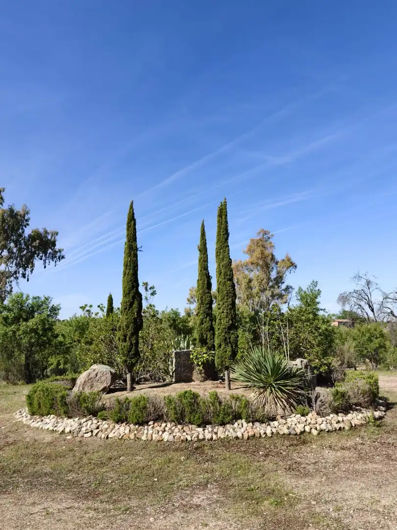 Chalet en venta en CERRO PALOS poligono 45 parcela 63, imagen 7