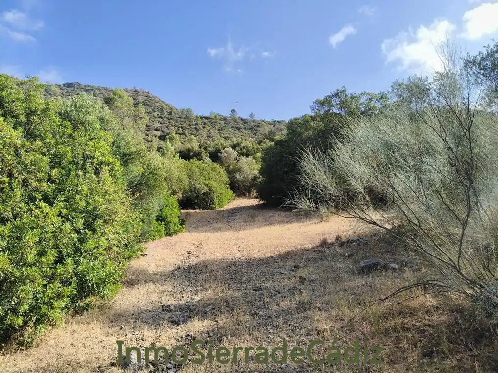 Finca rústica en venda en Algodonales