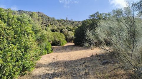 Finca Rúst. en venta en La Nava y Lapa., imagen 3