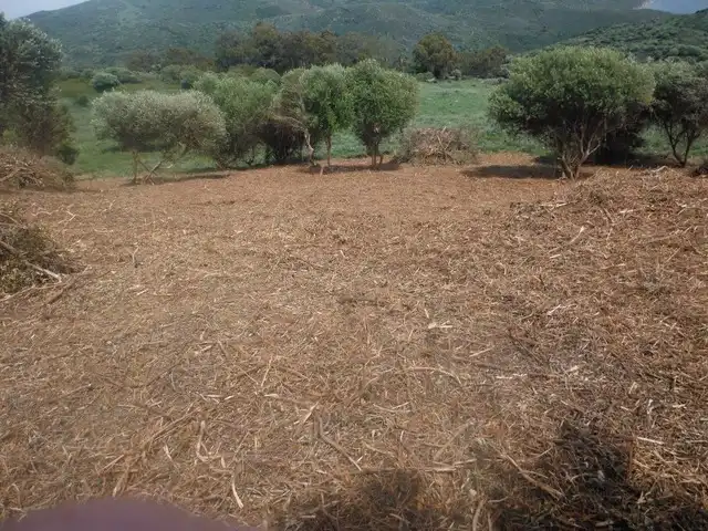 Rustikales Grundstück zum Verkauf in Puerto El Bujeo, imagen 7