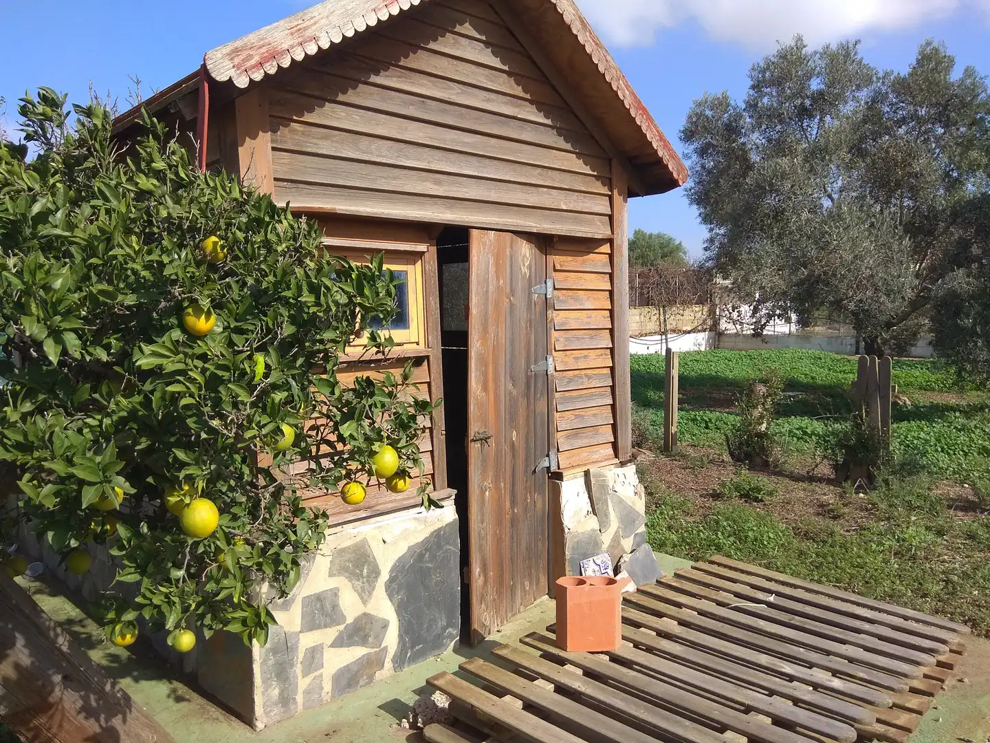 Chalet con piscina en venta en Pelagatos - Pago del Humo, imagen 4
