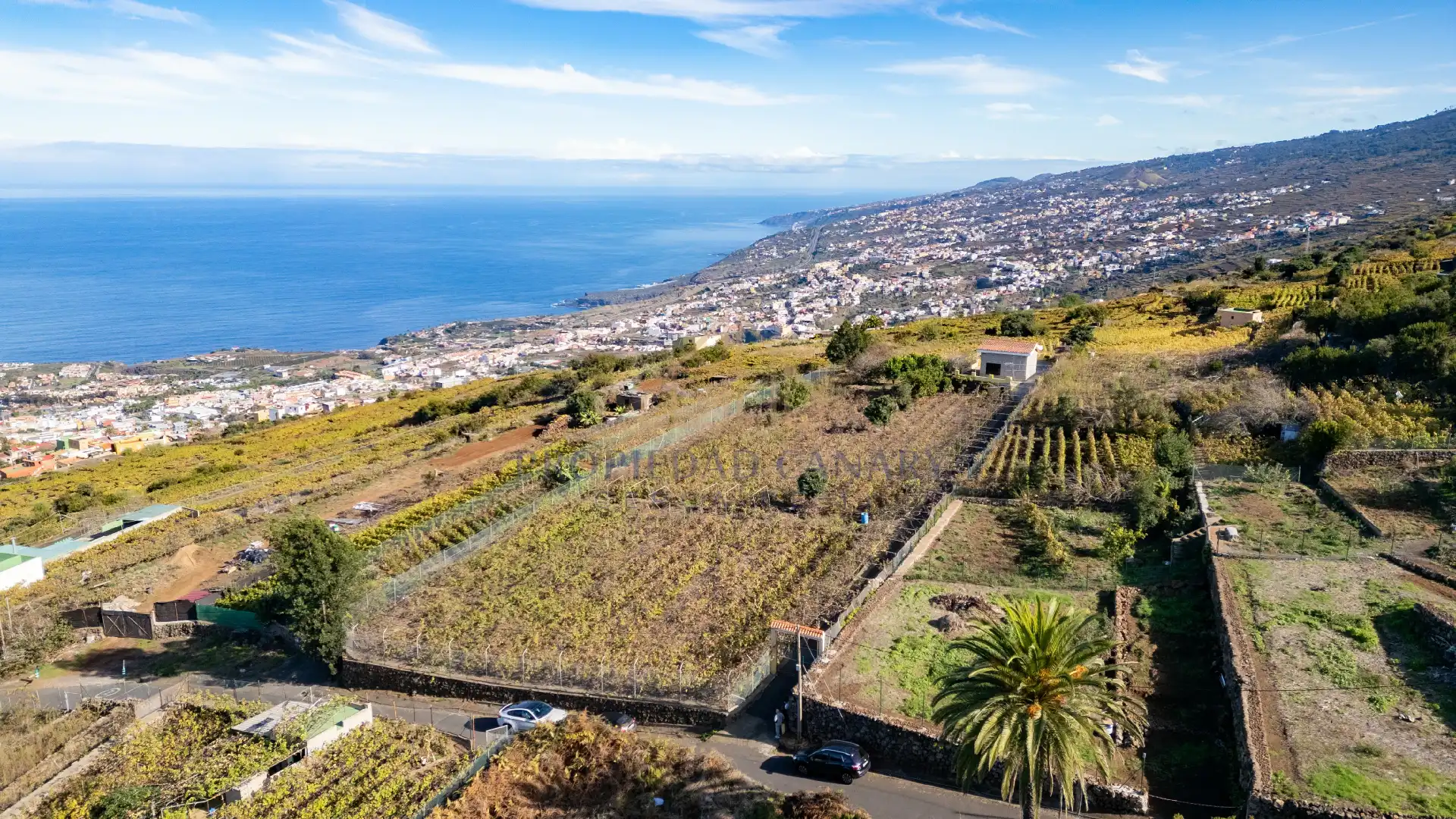 Vista exterior de Finca rústica en venda en Santa Úrsula amb Terrassa