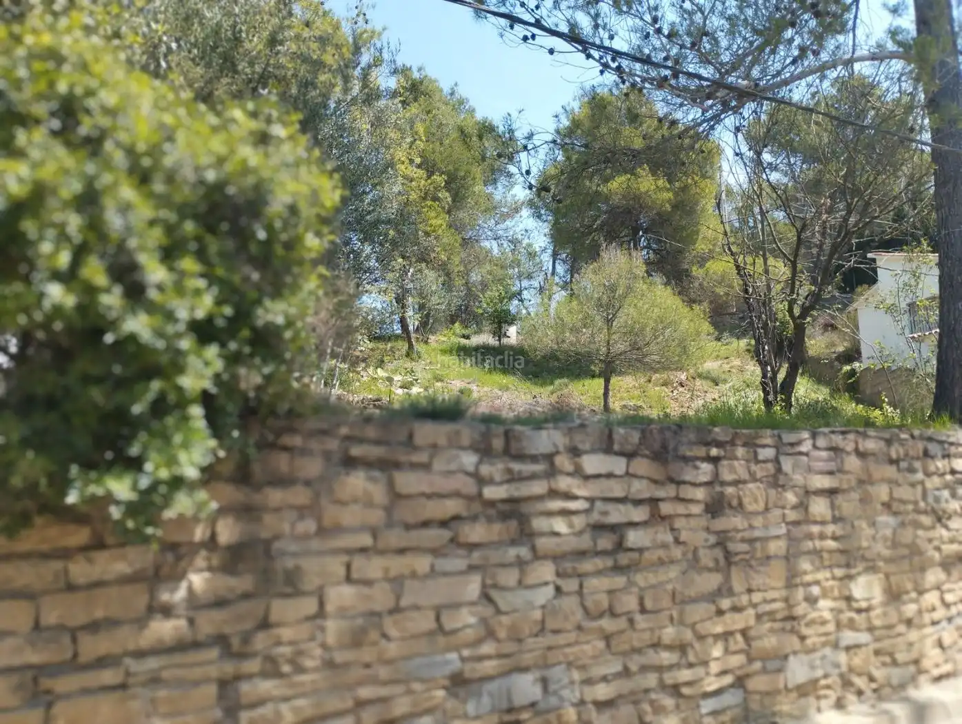 Terreny residencial en venda a Camí del Palà 2, imagen 4
