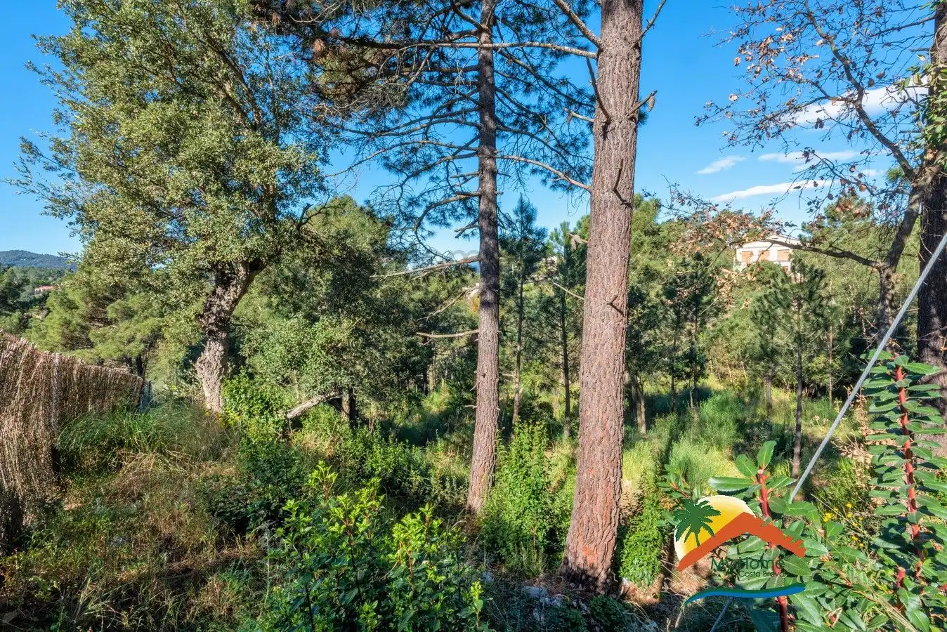 Wohnbaugrundstück zum Verkauf in Aiguaviva Parc, imagen 4