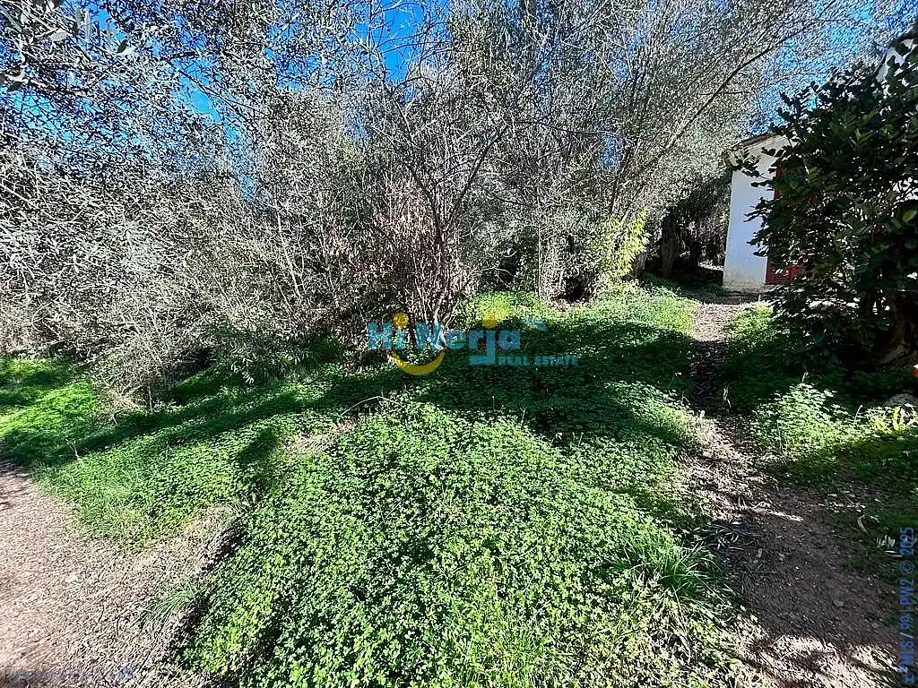Maison à vendre à Comares, imagen 17