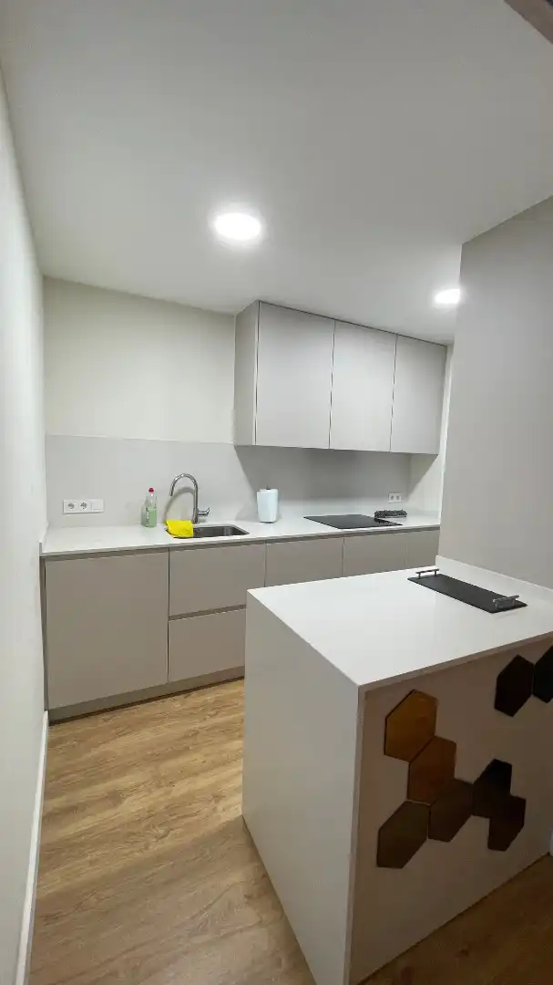 Cuina de Pis de lloguer en Barcelona amb Aire condicionat, Parquet i Moblat