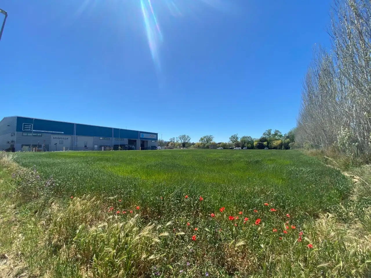 Industrial land for sale in Carrer Acacies, 8, Forallac