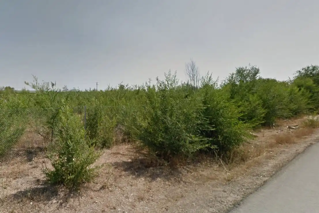 Terrenys i solars en venda a Viejo, imagen 3