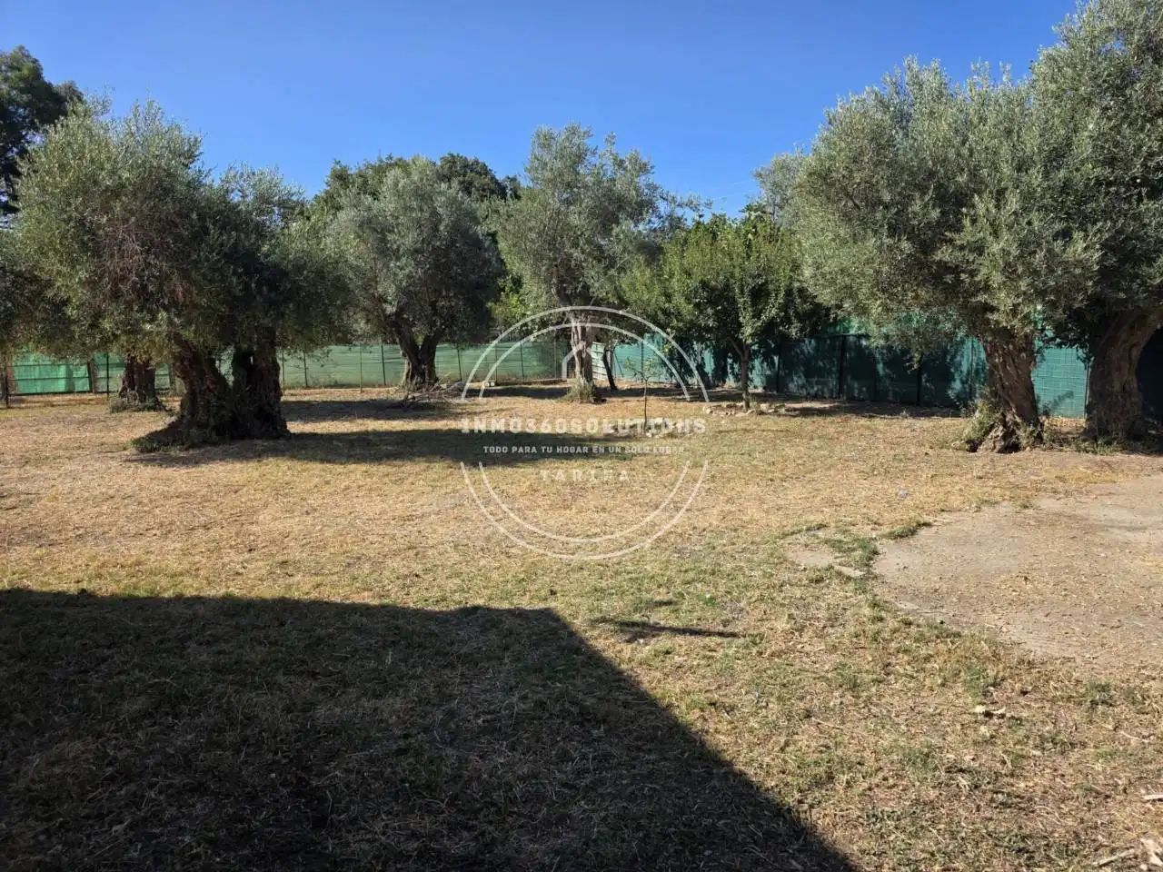 Casa o xalet en venda en Alcalá de los Gazules amb Jardí privat i Terrassa