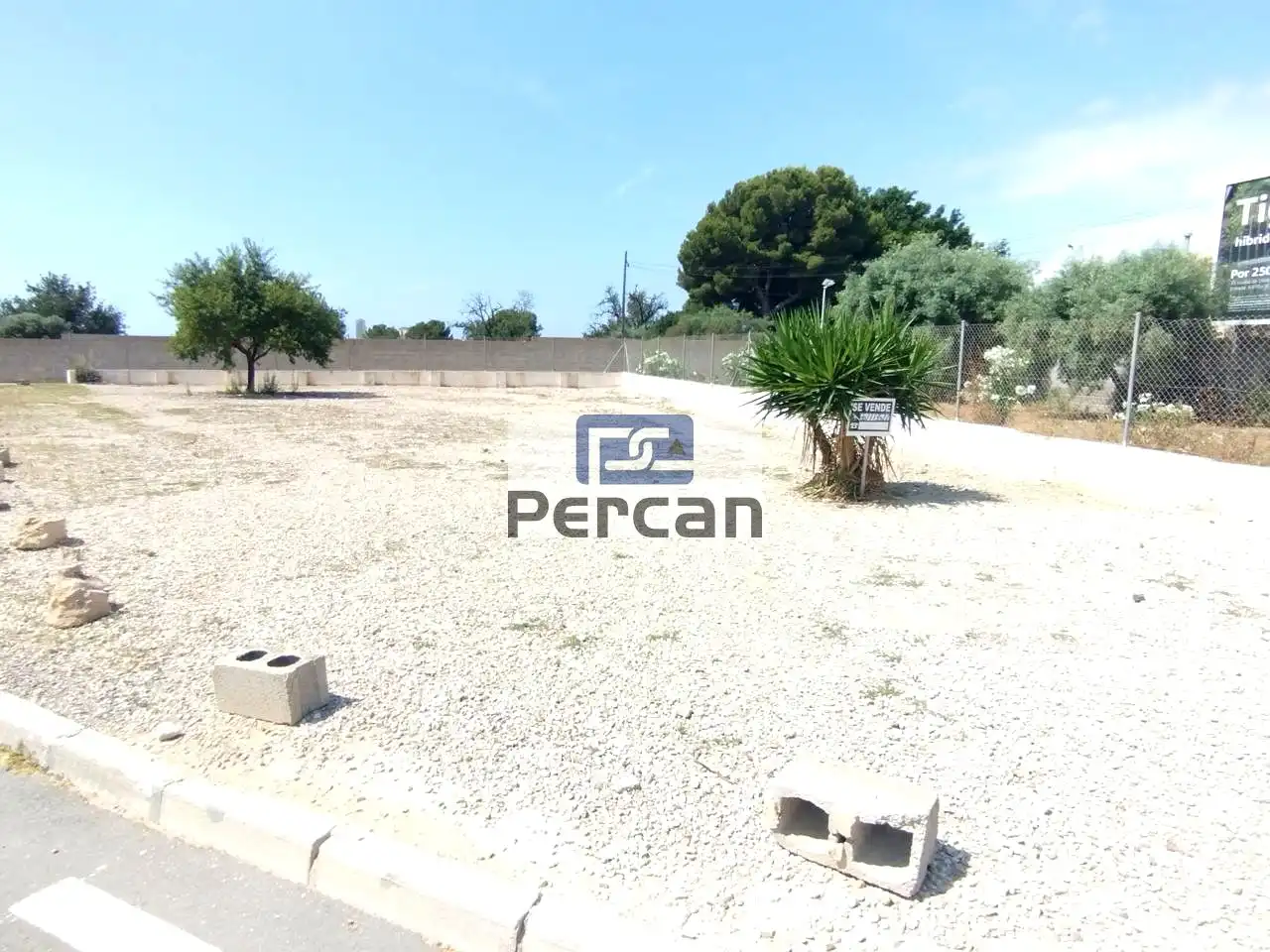Rural land for sale in Avinguda Ausiàs March, imagen 13
