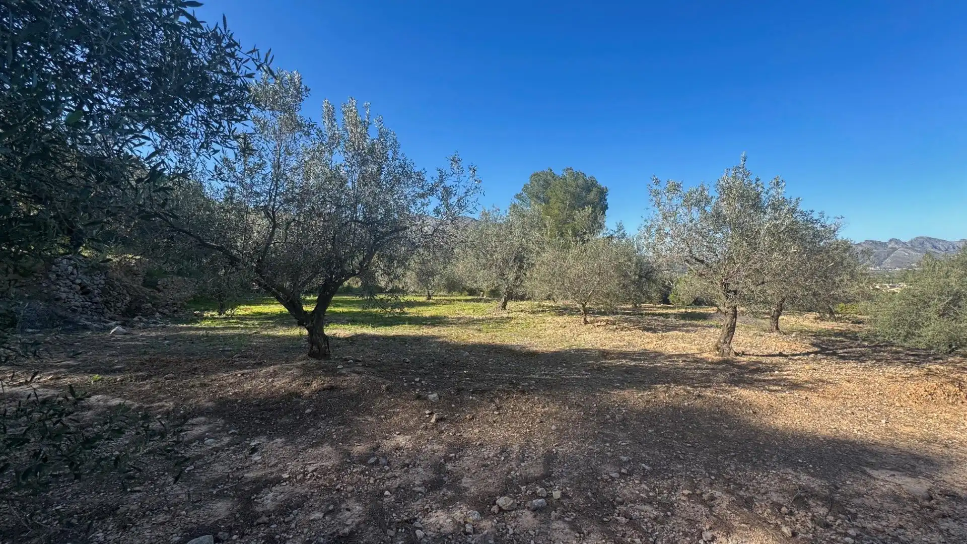 Terrenos y solares en venta en Orba, imagen 9