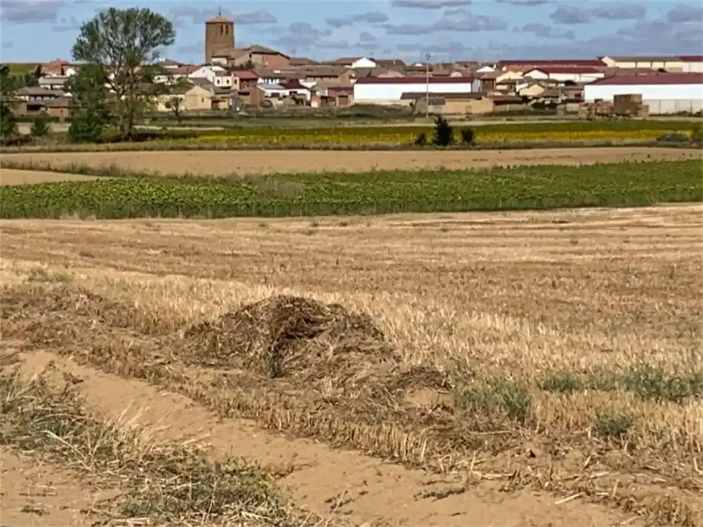 Piso en venta en Villalcón