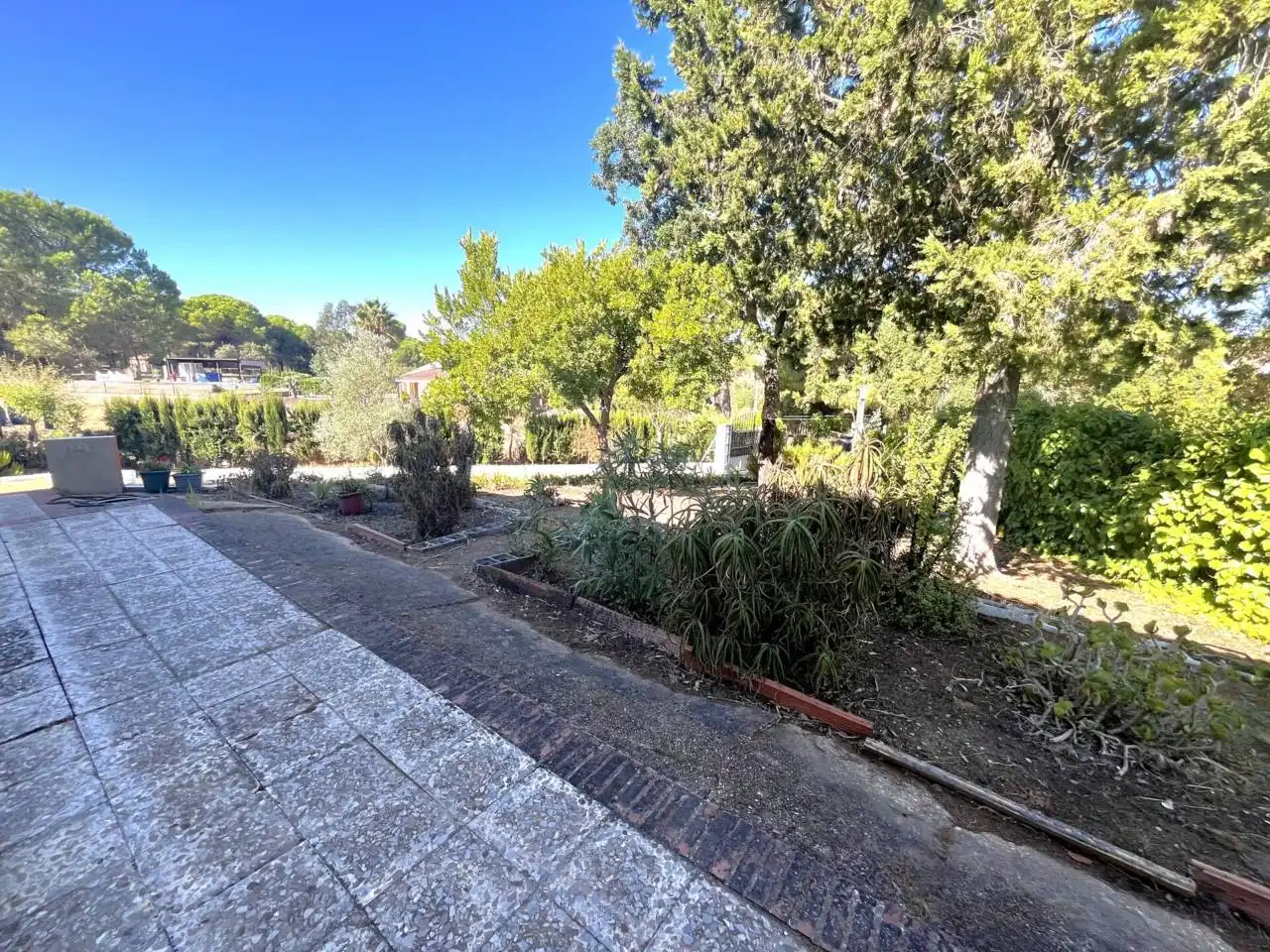 Jardín de Casa o chalet en venta en Valverde del Camino con Jardín privado, Terraza y Amueblado