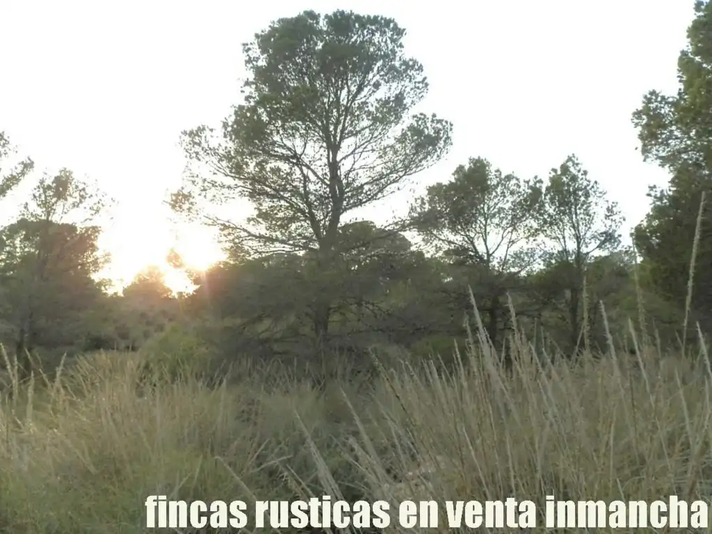 Terreni e lotti in vendita a Tobarra, imagen 15