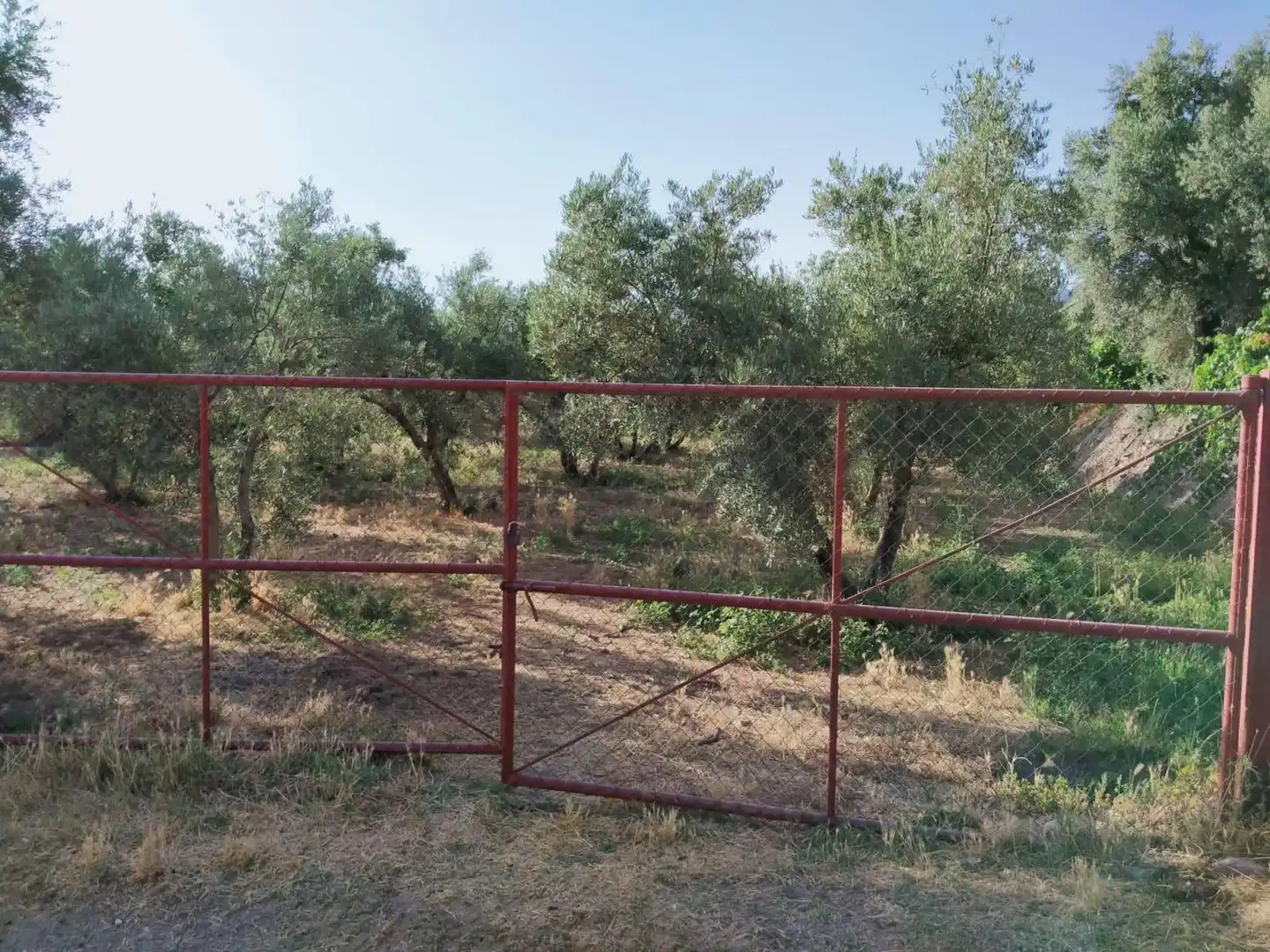Lands and plots for sale in Nigüelas, imagen 23