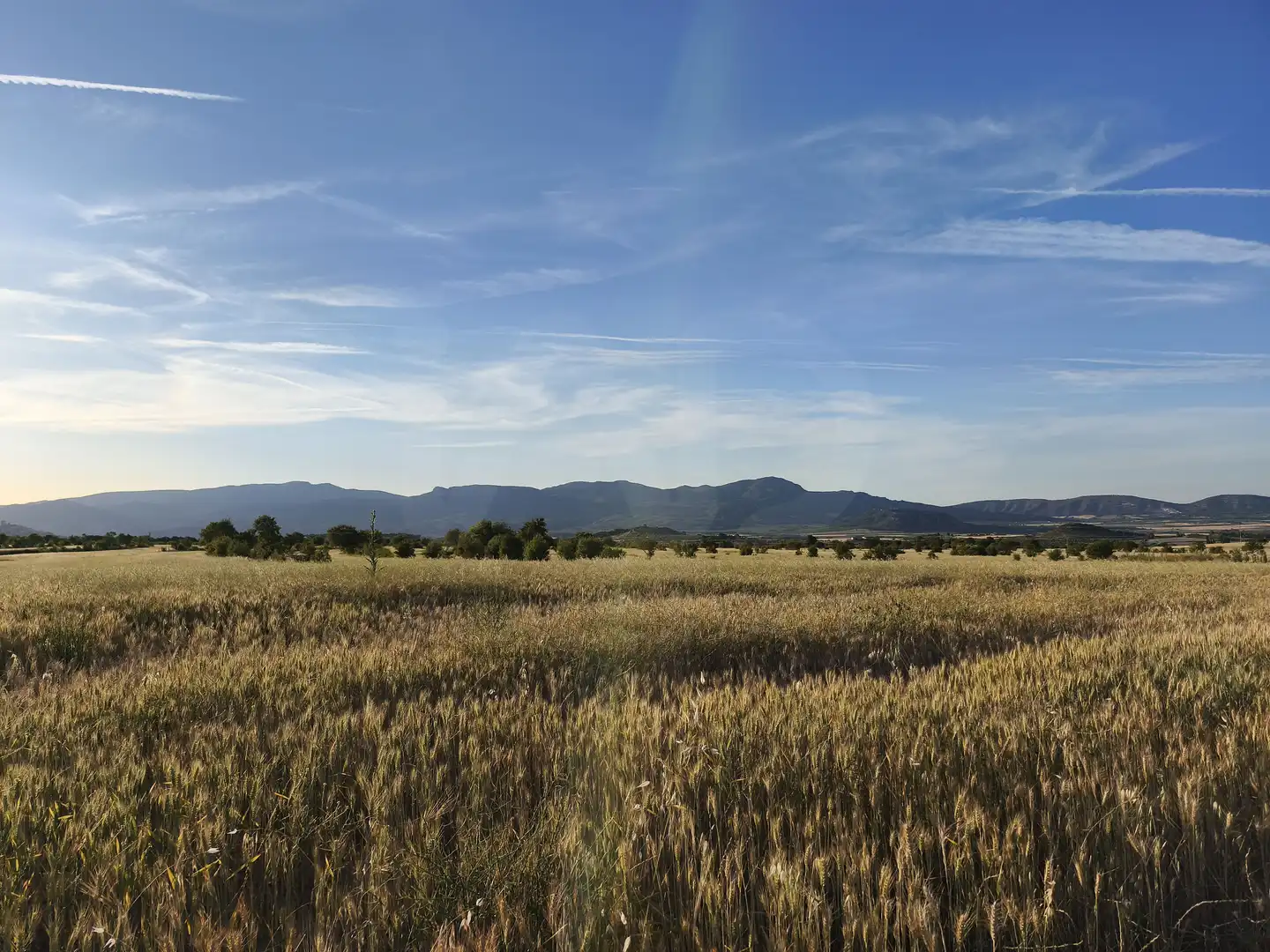 Terreno rustico in vendita a Moratalla, imagen 19