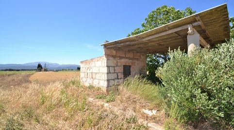 Conjunto de parcelas a la venta en Muro a poca distancia de la playa y maravillosas vistas.