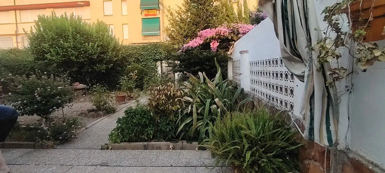House with garden for sale in Calle Doctor 14, imagen 10