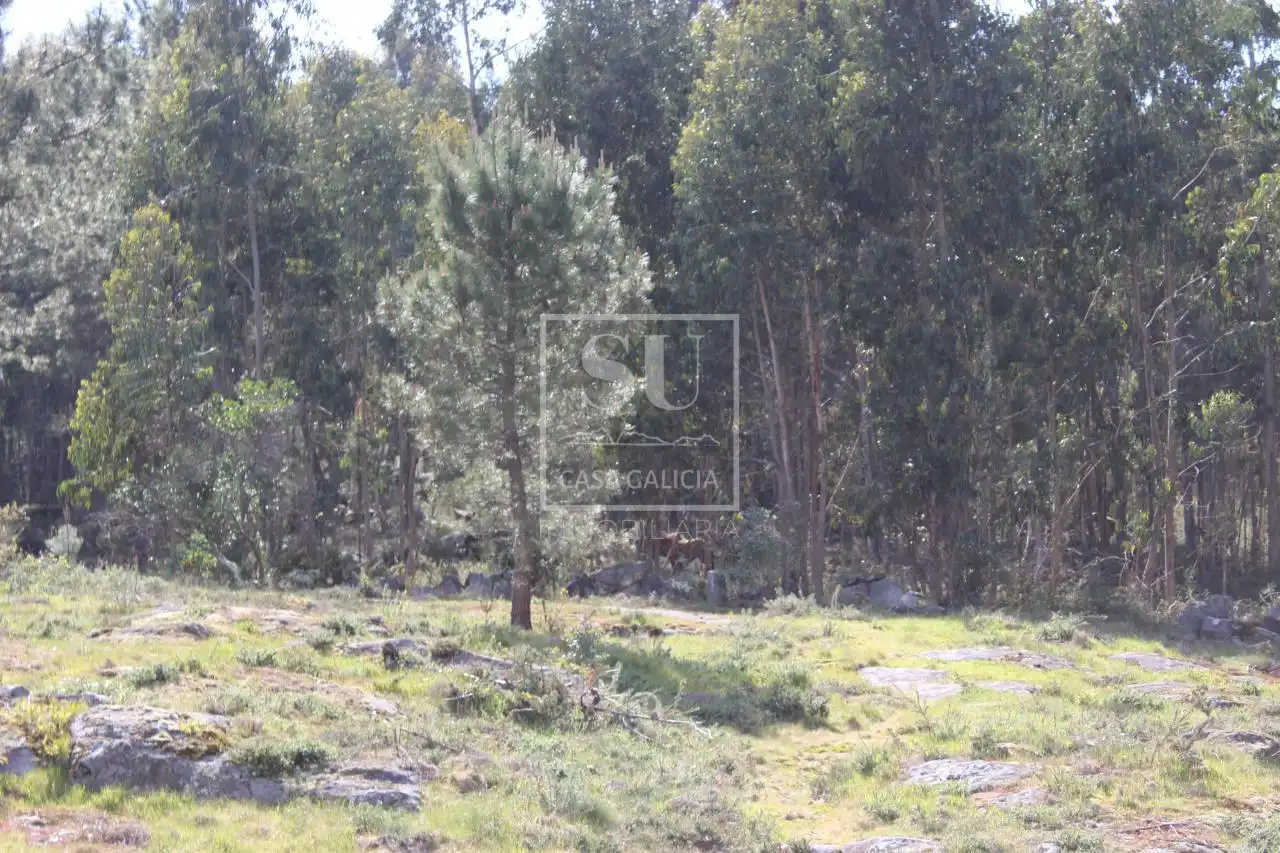 Casa o xalet en venda en Baiona amb Calefacció, Jardí privat i Terrassa