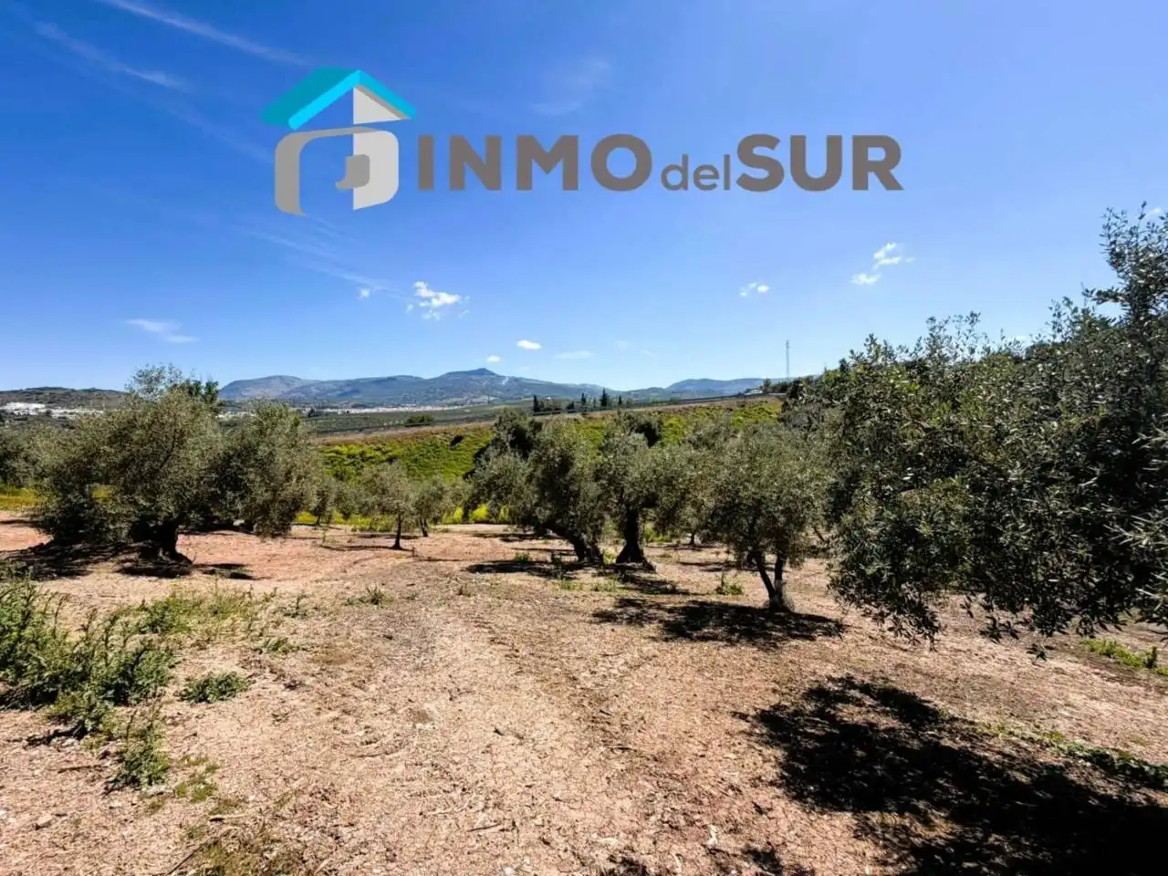 Terreno rustico in vendita a Carretera Lucena-Doña Mencía, imagen 3