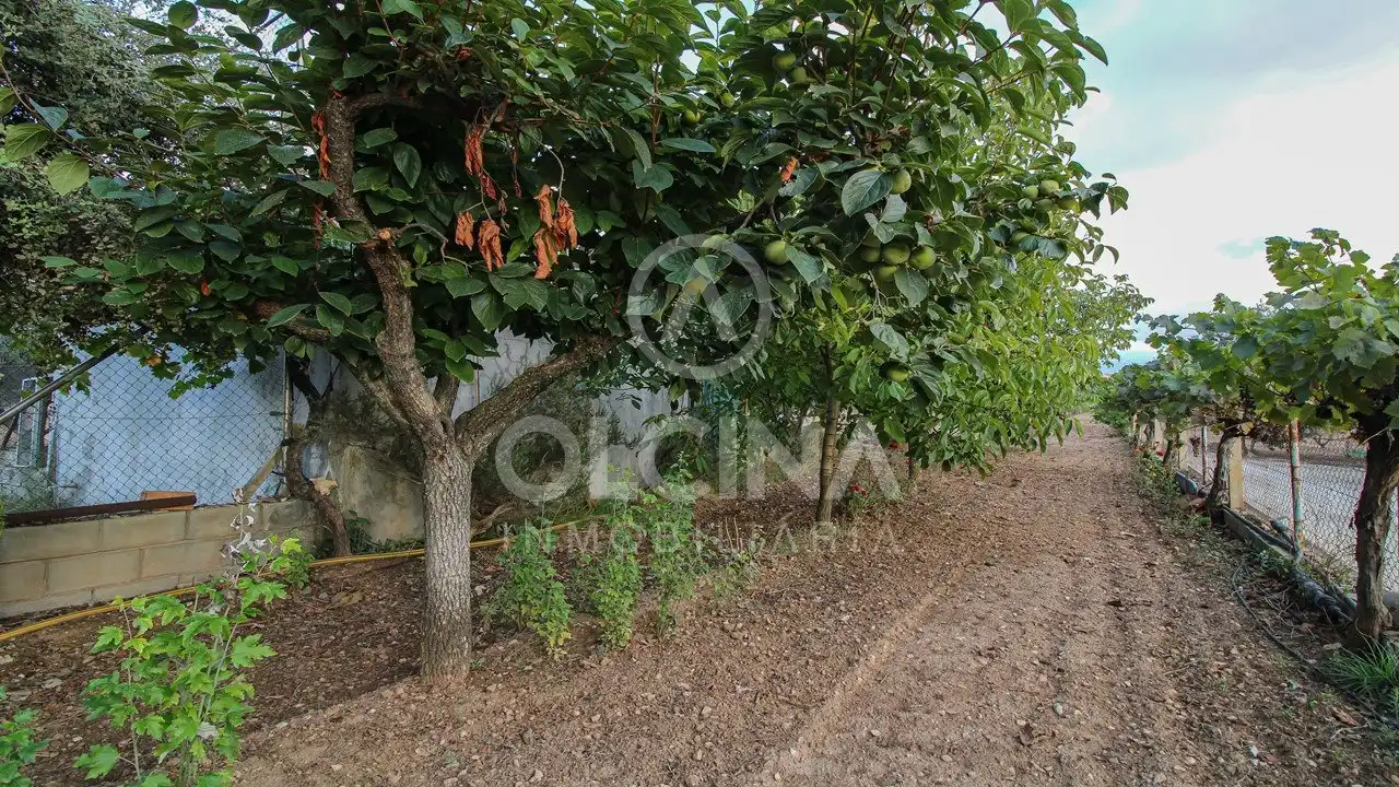 Terreny rústic en venda a Castalla