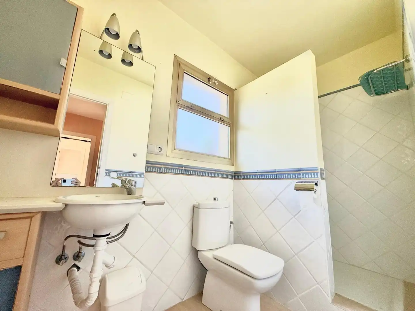 Bathroom of Detached homes for sale in Mijas  with Air Conditioner, Heating and Private garden