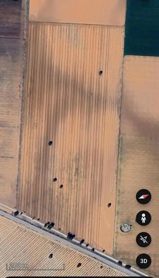 Terreno rustico in vendita a Paraje los Pleitos, imagen 4