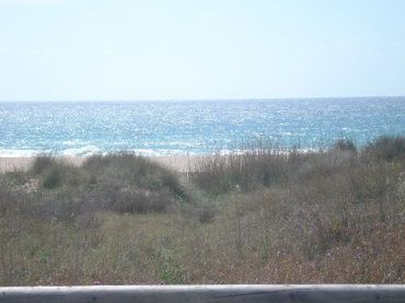 Lands and plots for sale in El Palmar