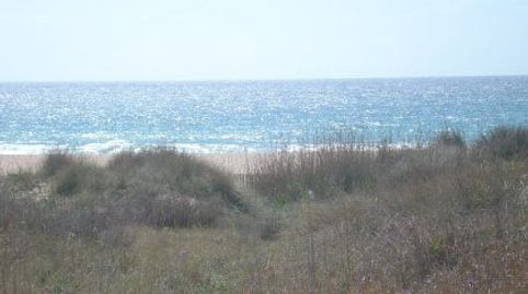 Parc. Rúst. en venta en El Palmar.