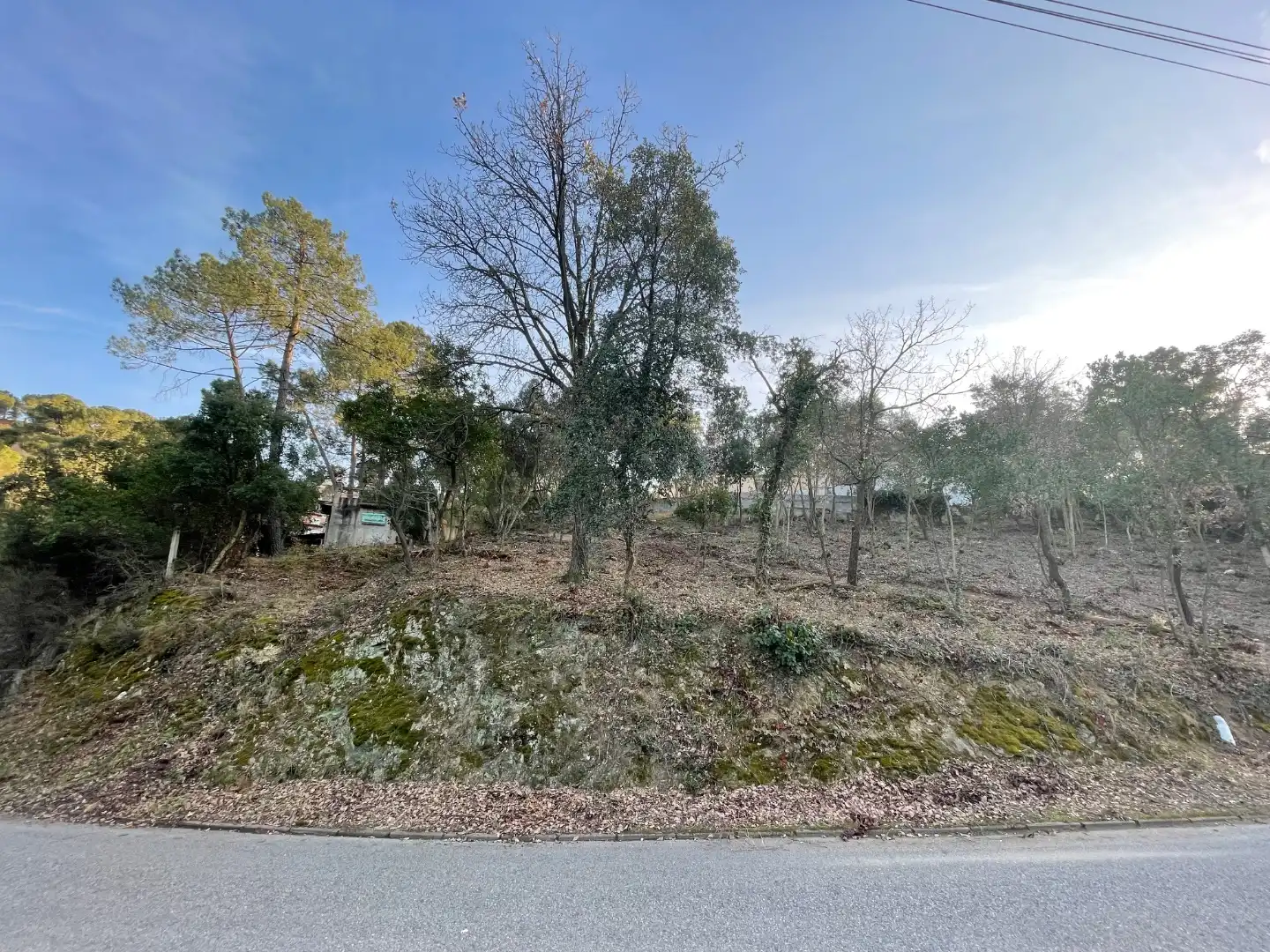 Terreny residencial en venda a Pi ric 205, imagen 4