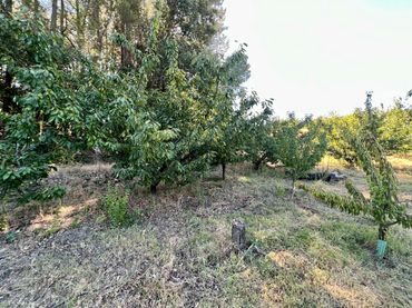 Rural land for sale in Jaraíz de la Vera