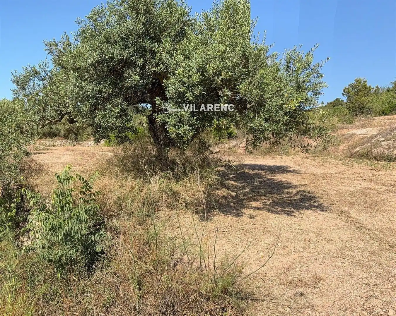 Rustikales Grundstück zum Verkauf in La Pobla de Montornès, imagen 5