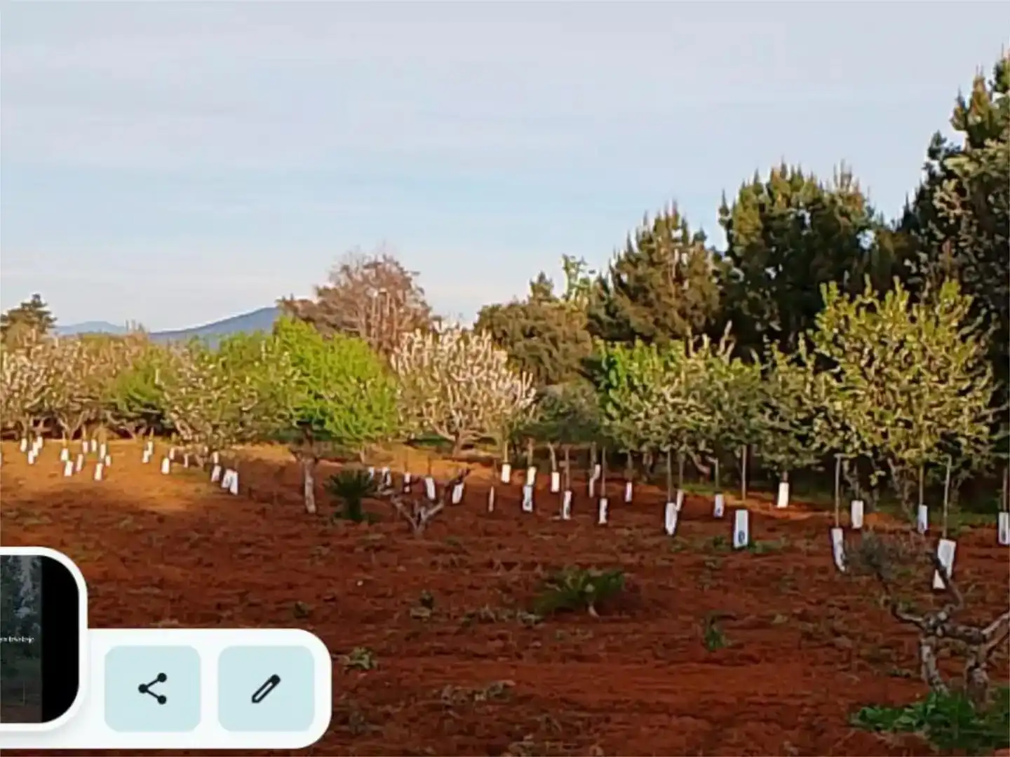 Jardí de Finca rústica en venda en Torre de Don Miguel