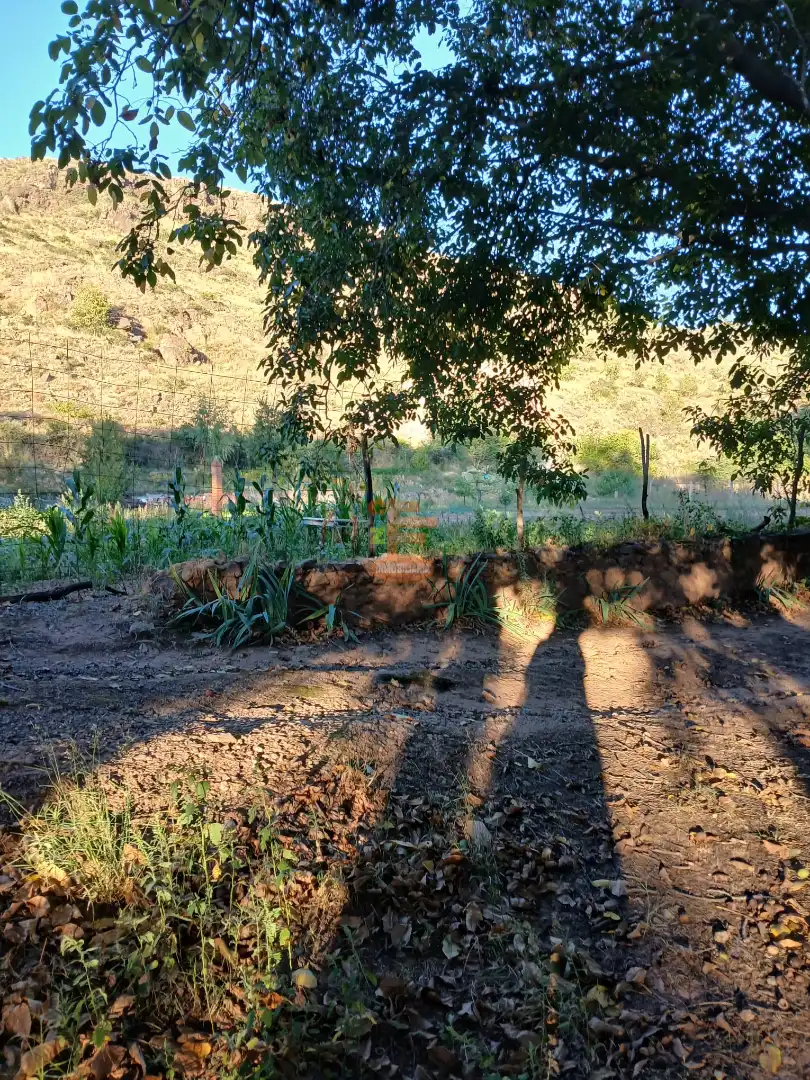 Terreni e lotti in vendita a Calle Gotor, imagen 15